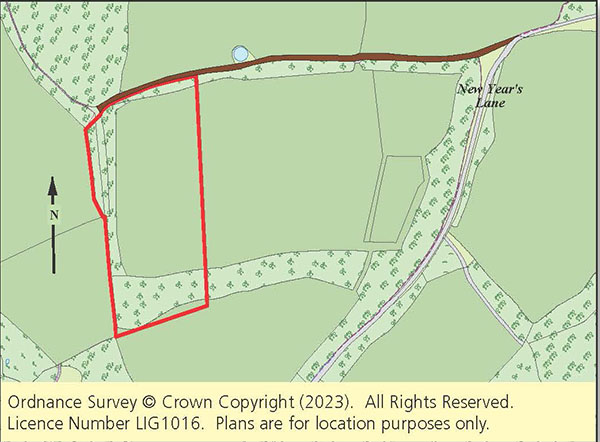 Lot: 65 - GRAZING LAND AND PART WOODLAND EXTENDING TO 5.5 ACRES - 